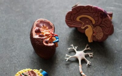 New Promising Alzheimer’s Medication Approved By FDA