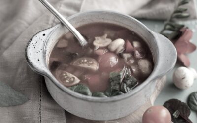 Thomas Jefferson’s Observation Soup Recipe